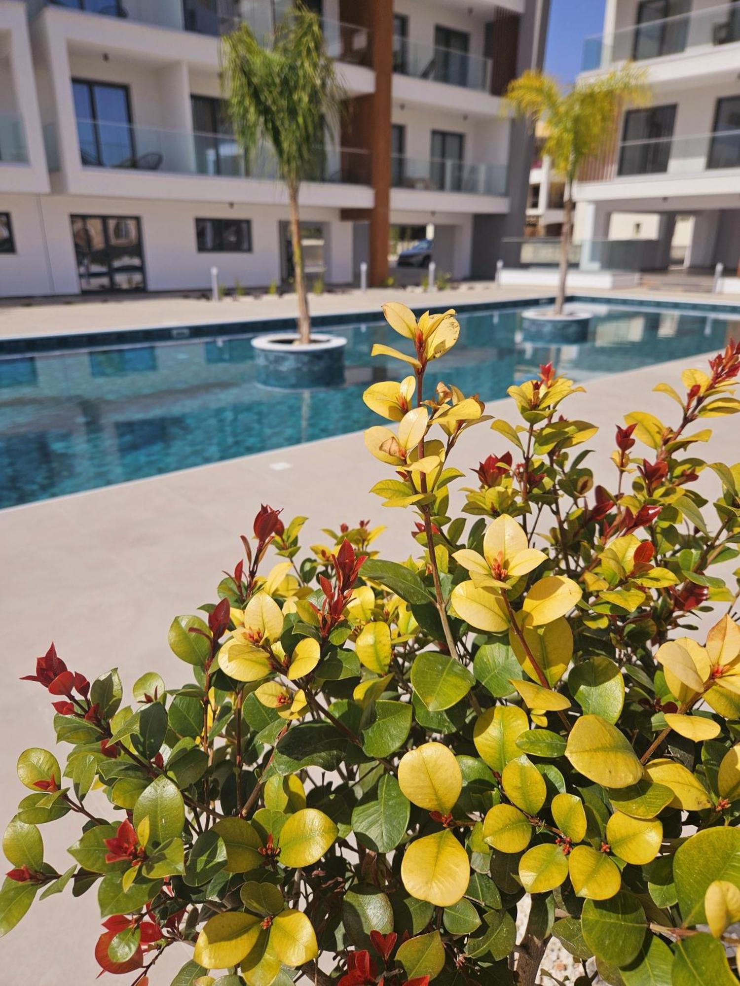 New, Modern Studio, Universal Residences Paphos
