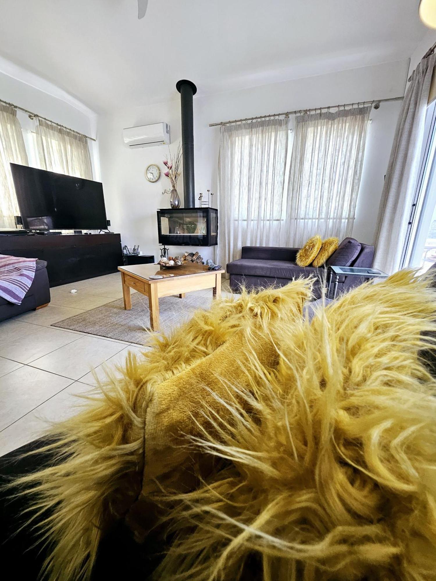 Villa Olivia Paphos