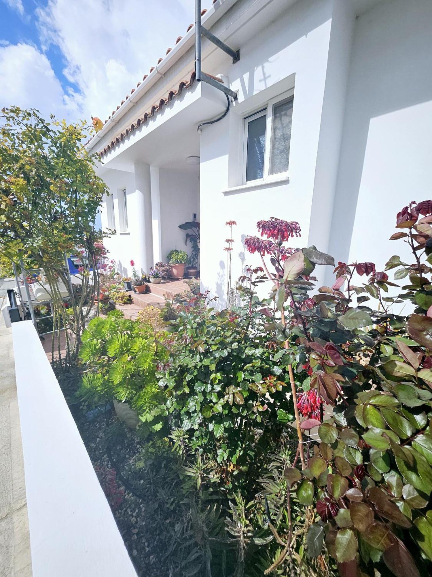 Villa Olivia *