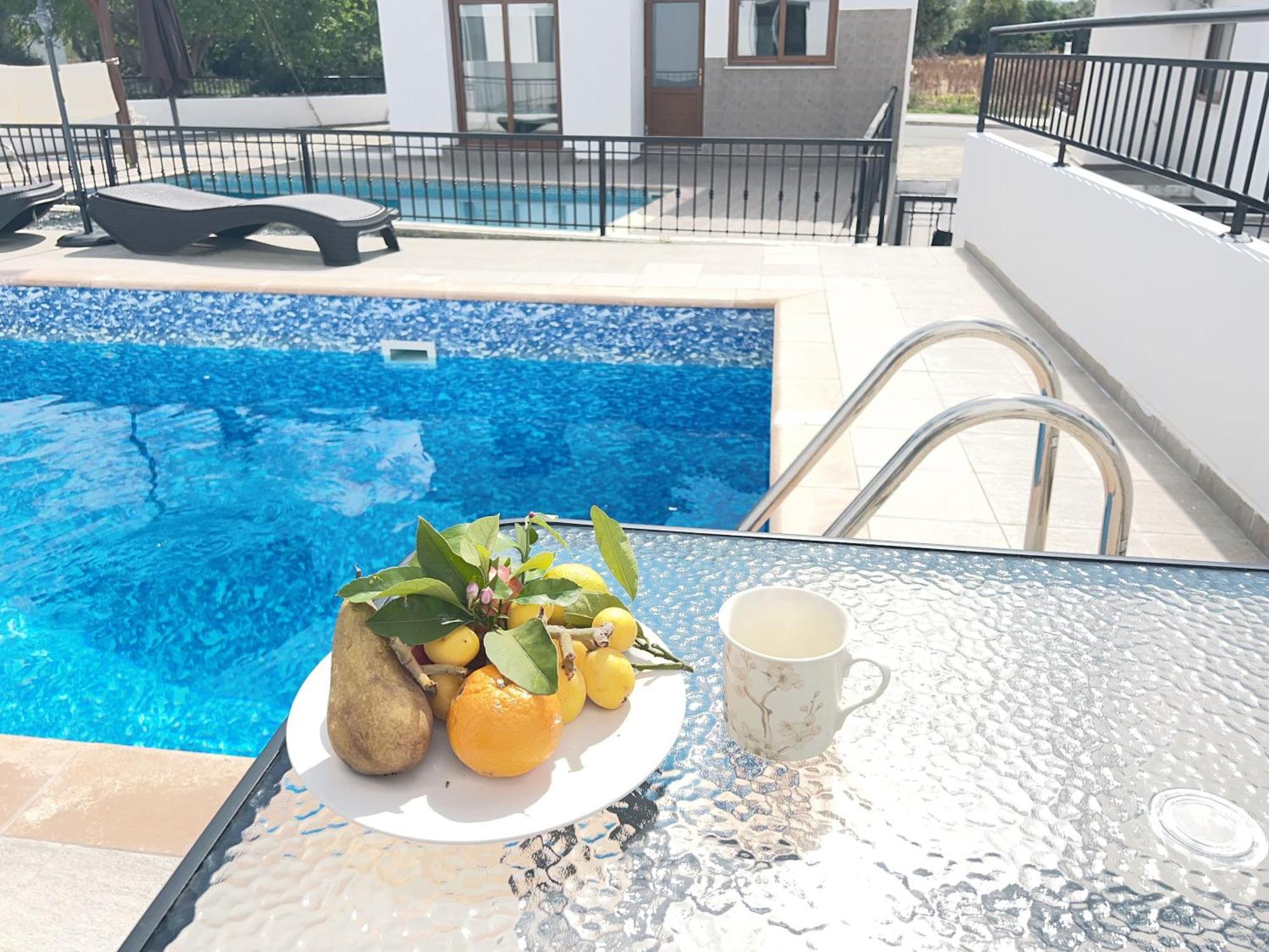 White Mountain Pool Villa Paphos