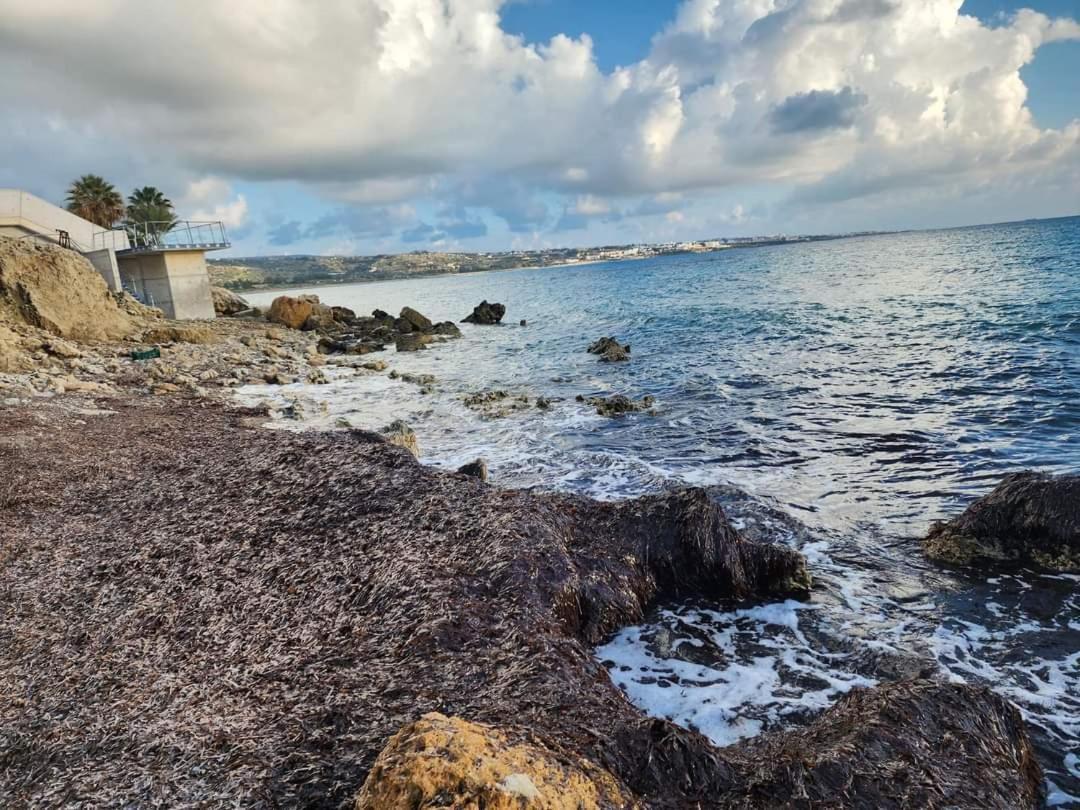 Apartment Serenity Corner Paphos