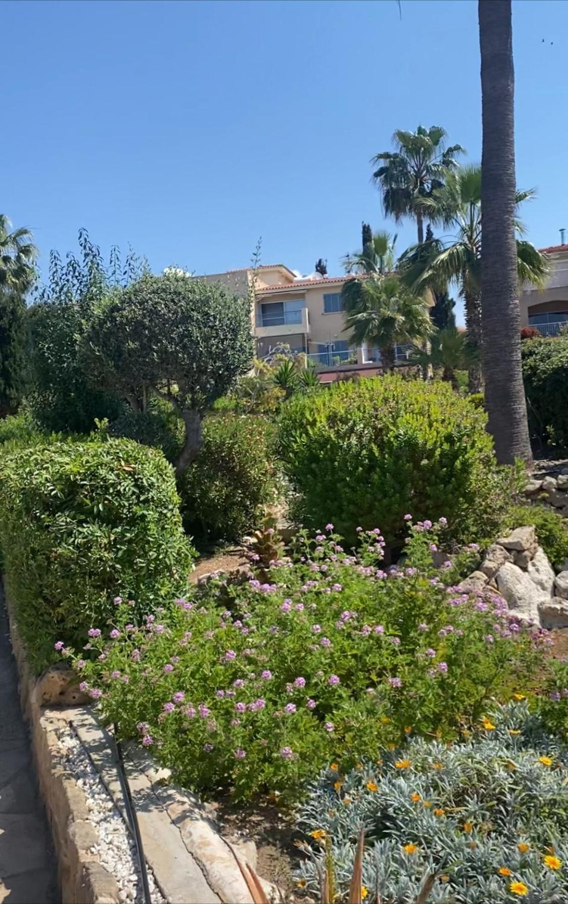 Newly Renovated- Regina Gardens 1, Venus 500 M, Sea&sunsets View, License Ooo7141 Paphos