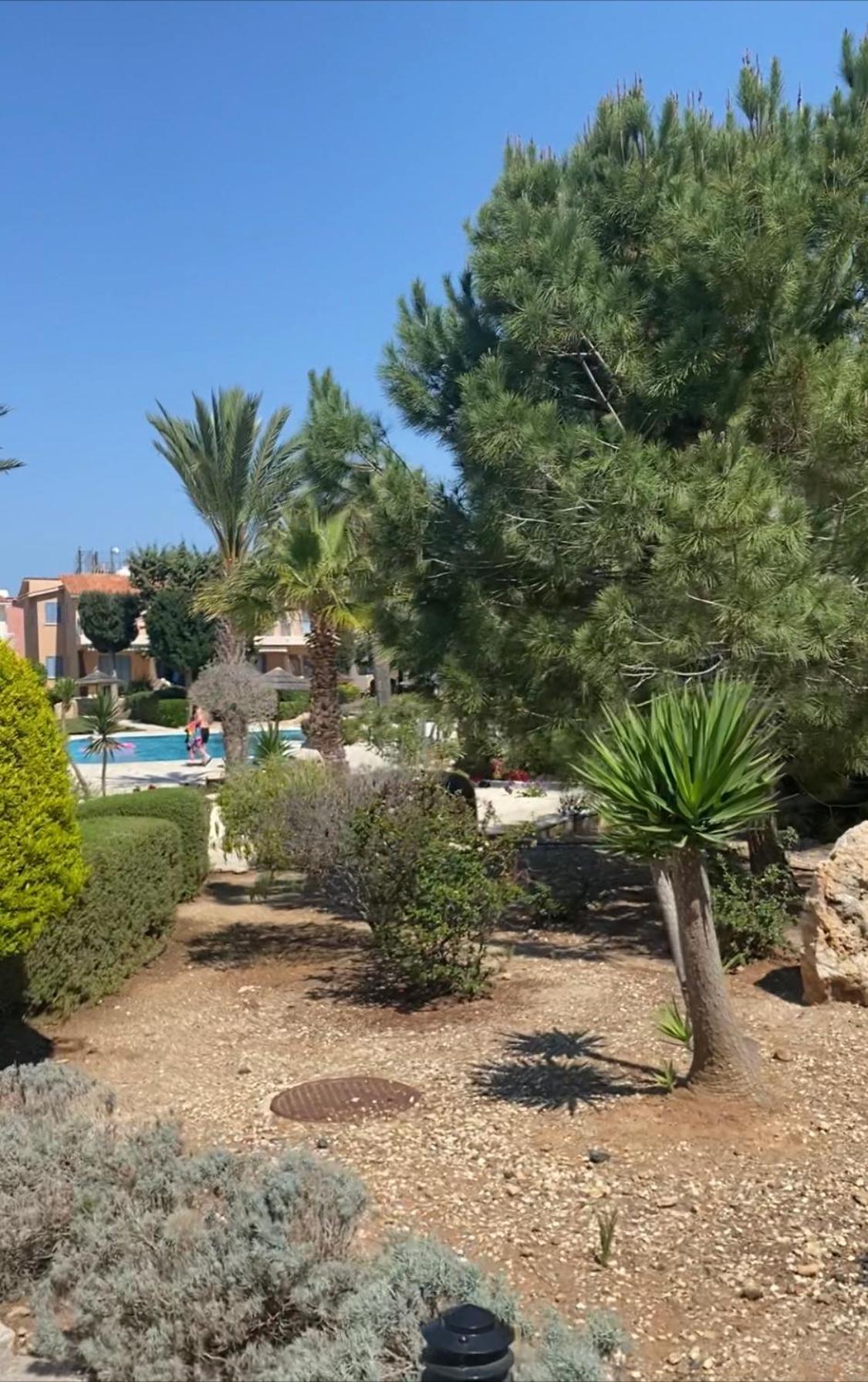 Newly Renovated- Regina Gardens 1, Venus 500 M, Sea&sunsets View, License Ooo7141 Paphos