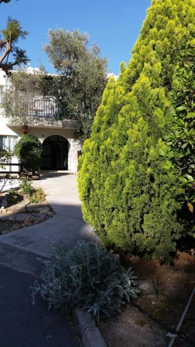 Apartment Gardens 206 Paphos
