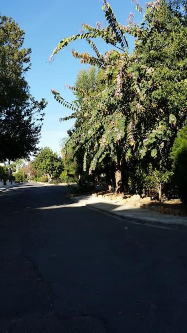 Apartment Gardens 206
