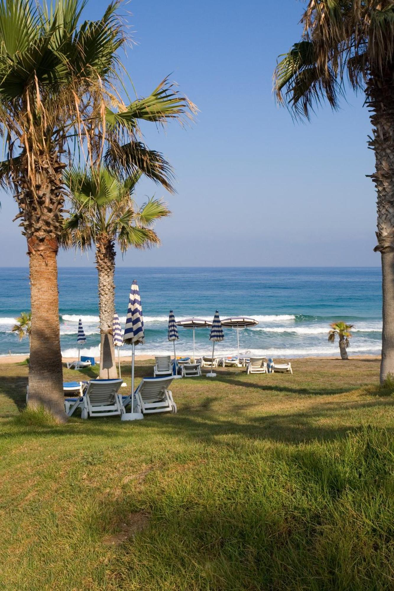 Venus Beach