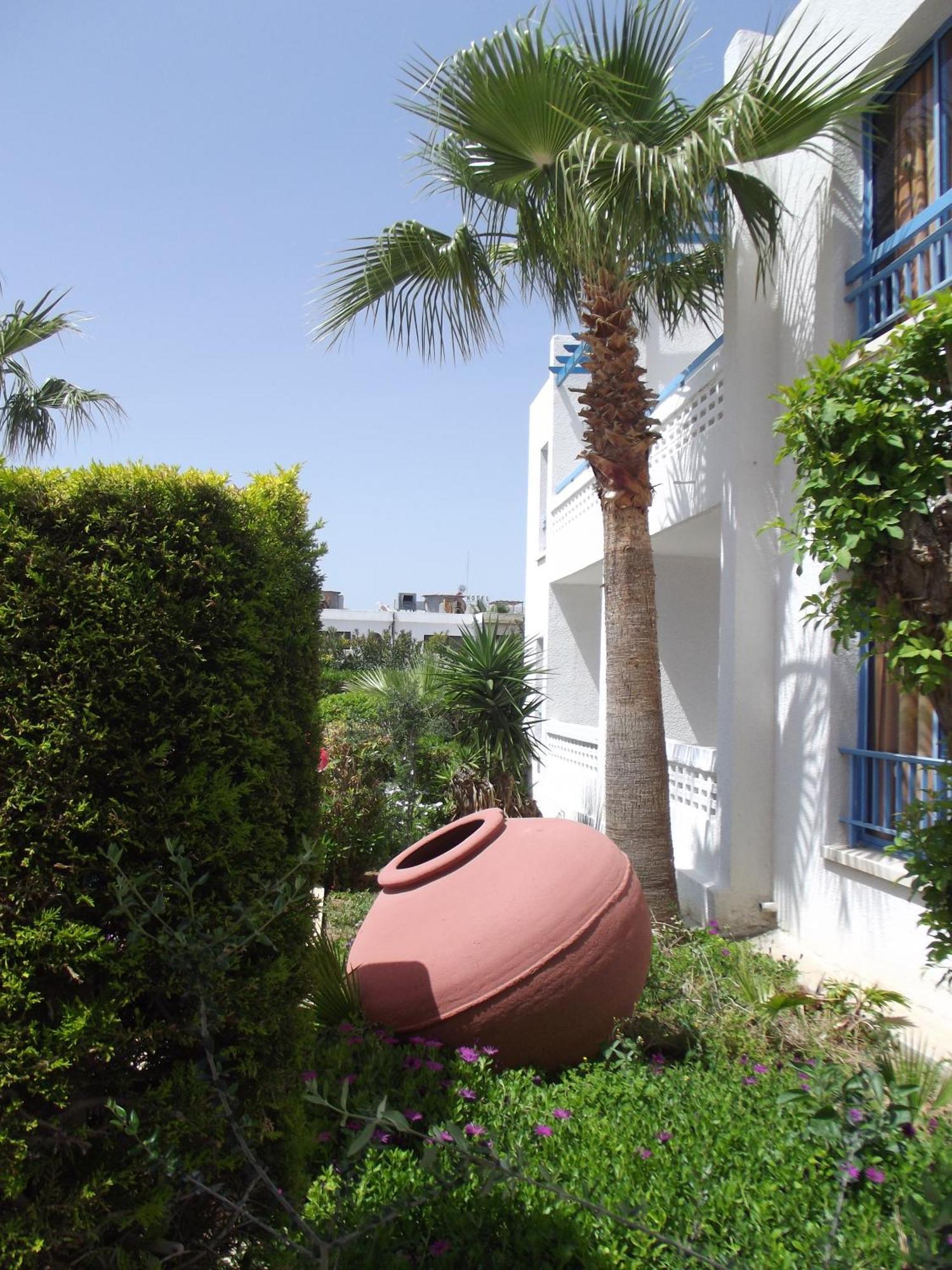 Kefalonitis Paphos