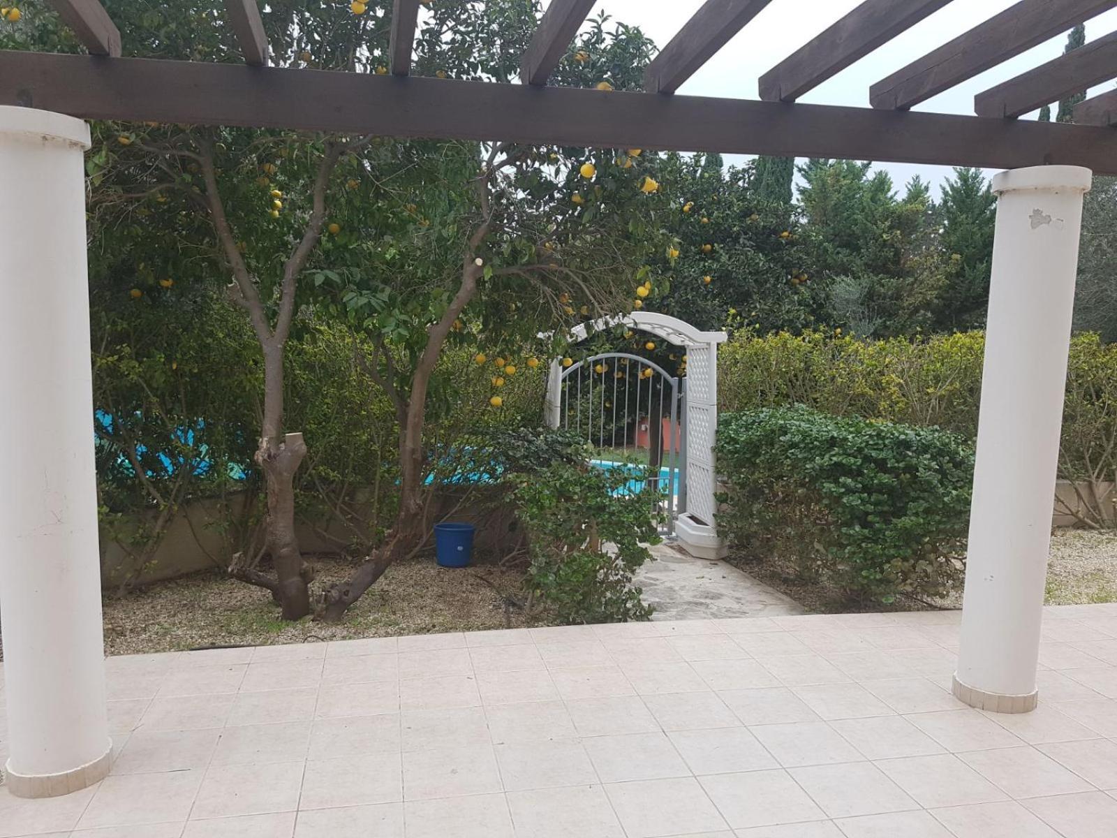 Lovely Garden *