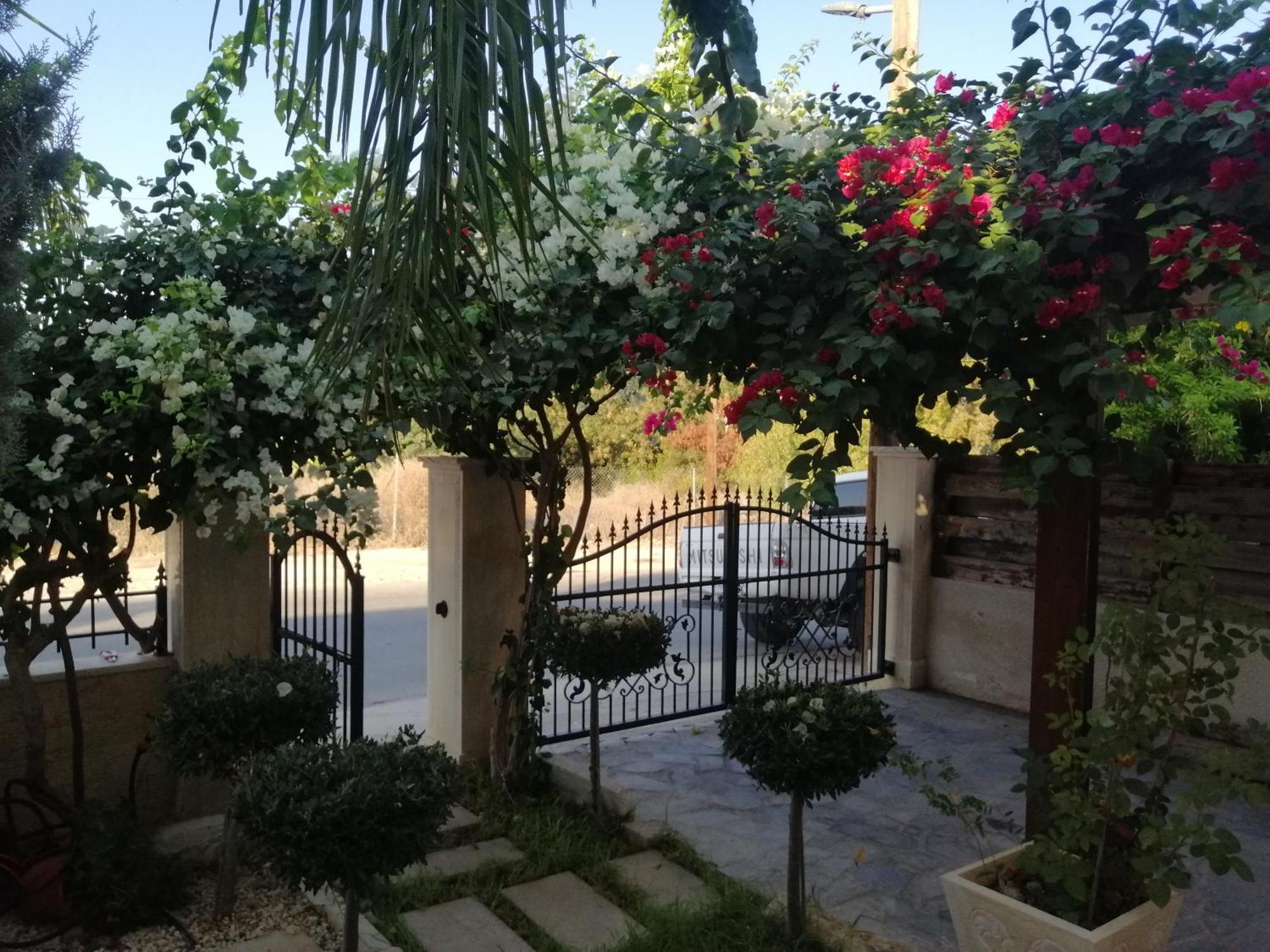 Myria * Paphos