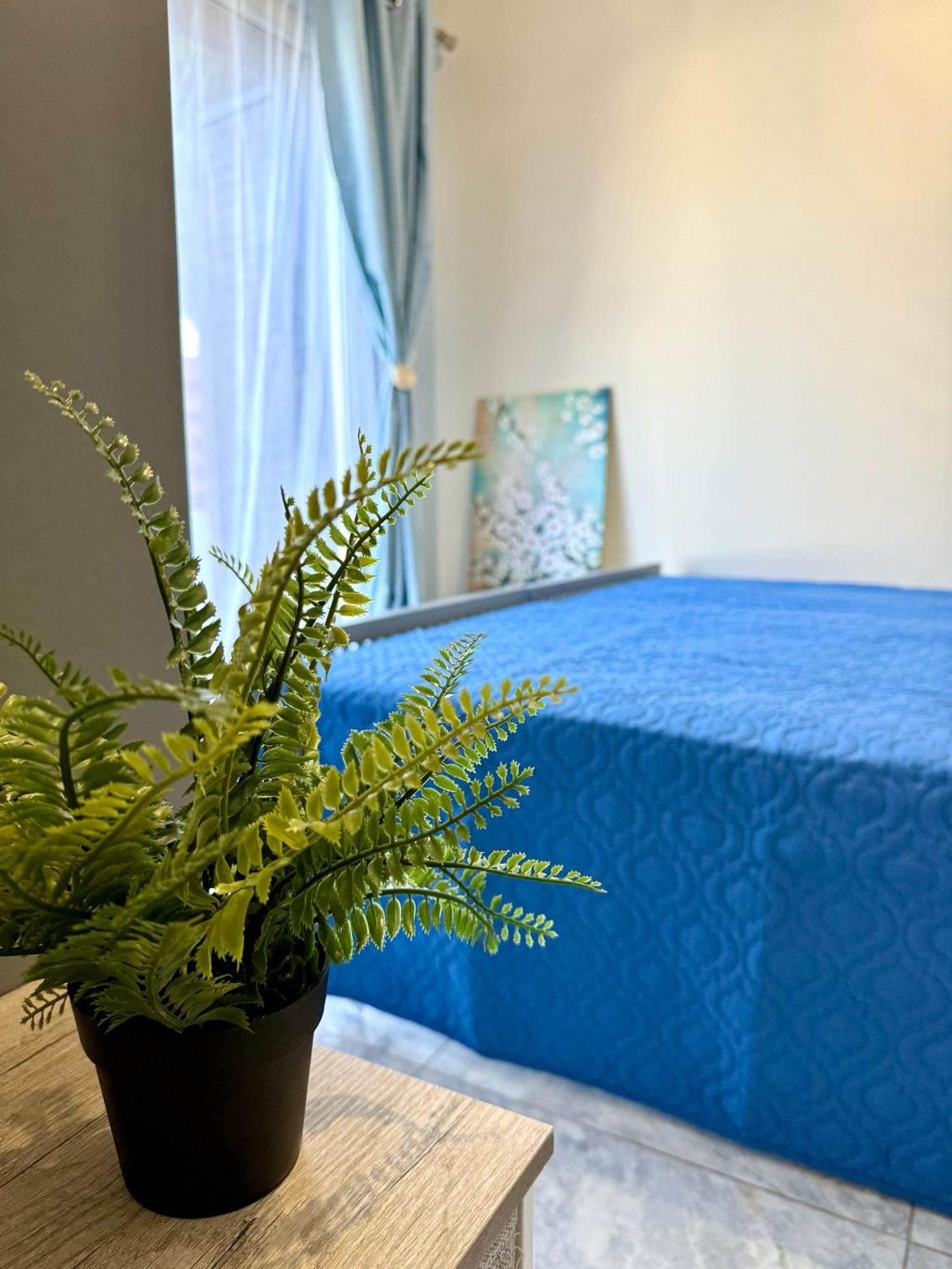 Apartment Dub House Paphos