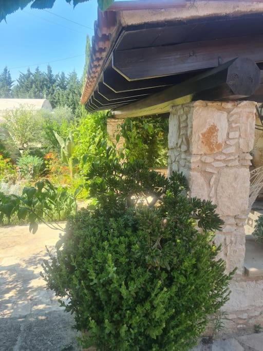 Ivi's House Giolou Holiday home *