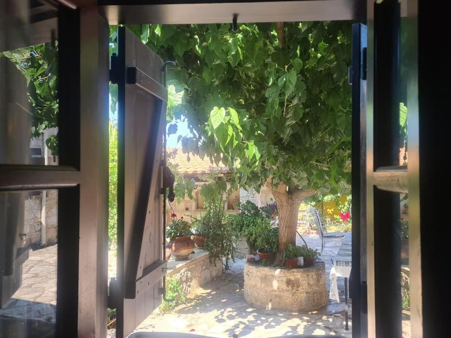 Holiday home Ivi's House Giolou *