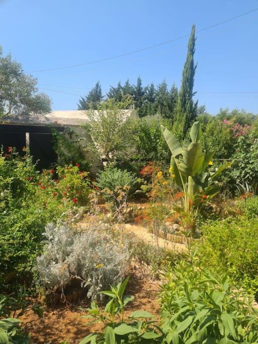 Holiday home Ivi's House Giolou *