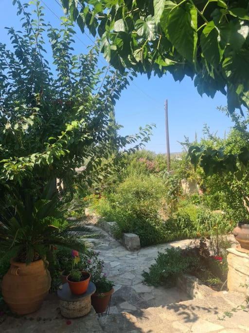 Ivi's House Giolou *