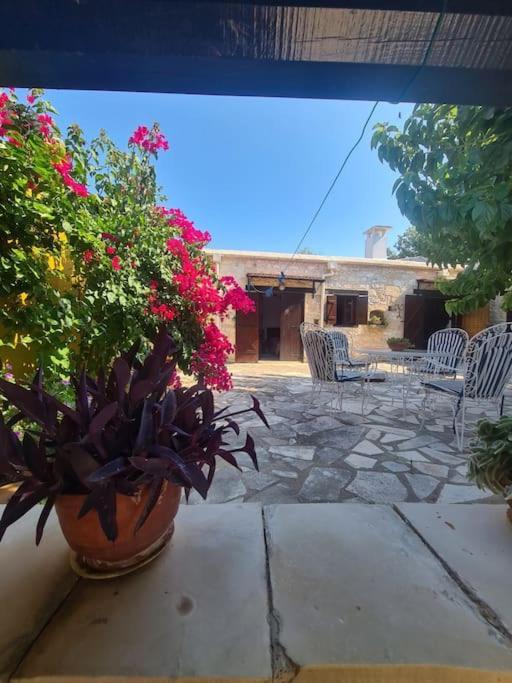 Ivi's House Giolou