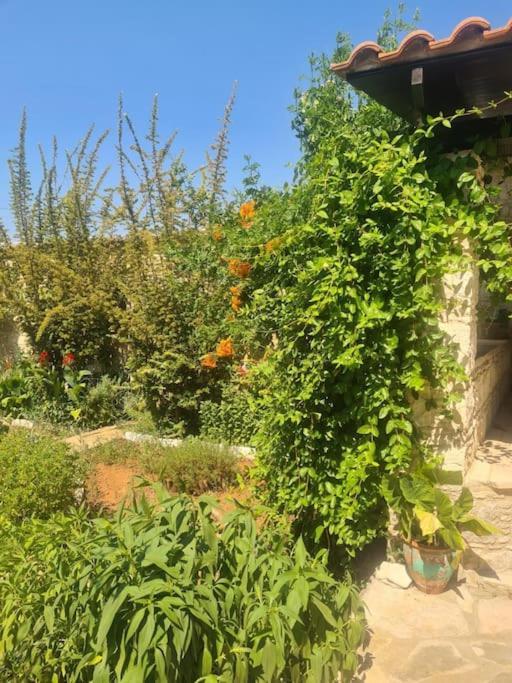 Ivi's House Giolou Holiday home