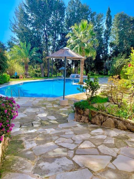 Apartment Paradise Retreat