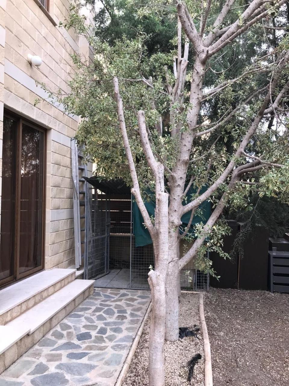 Imperial Paphos