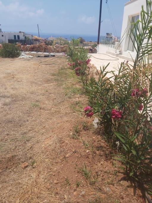 Pousada Queen Eyridiki Luxury 2
