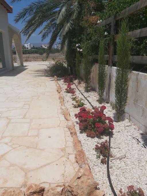 Queen Eyridiki Luxury 2 *