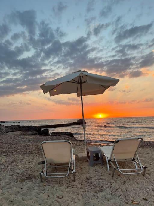 With A Luxurious Location Near The Sea