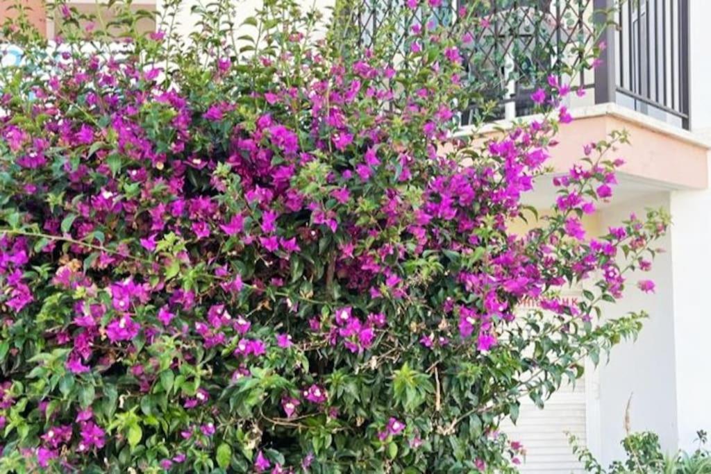 With A Luxurious Location Near The Sea Apartamento Paphos