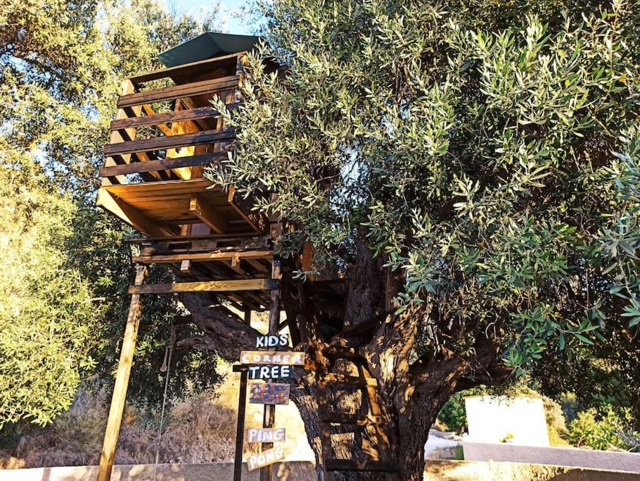 Glamping In The Middle Of Nowhere *