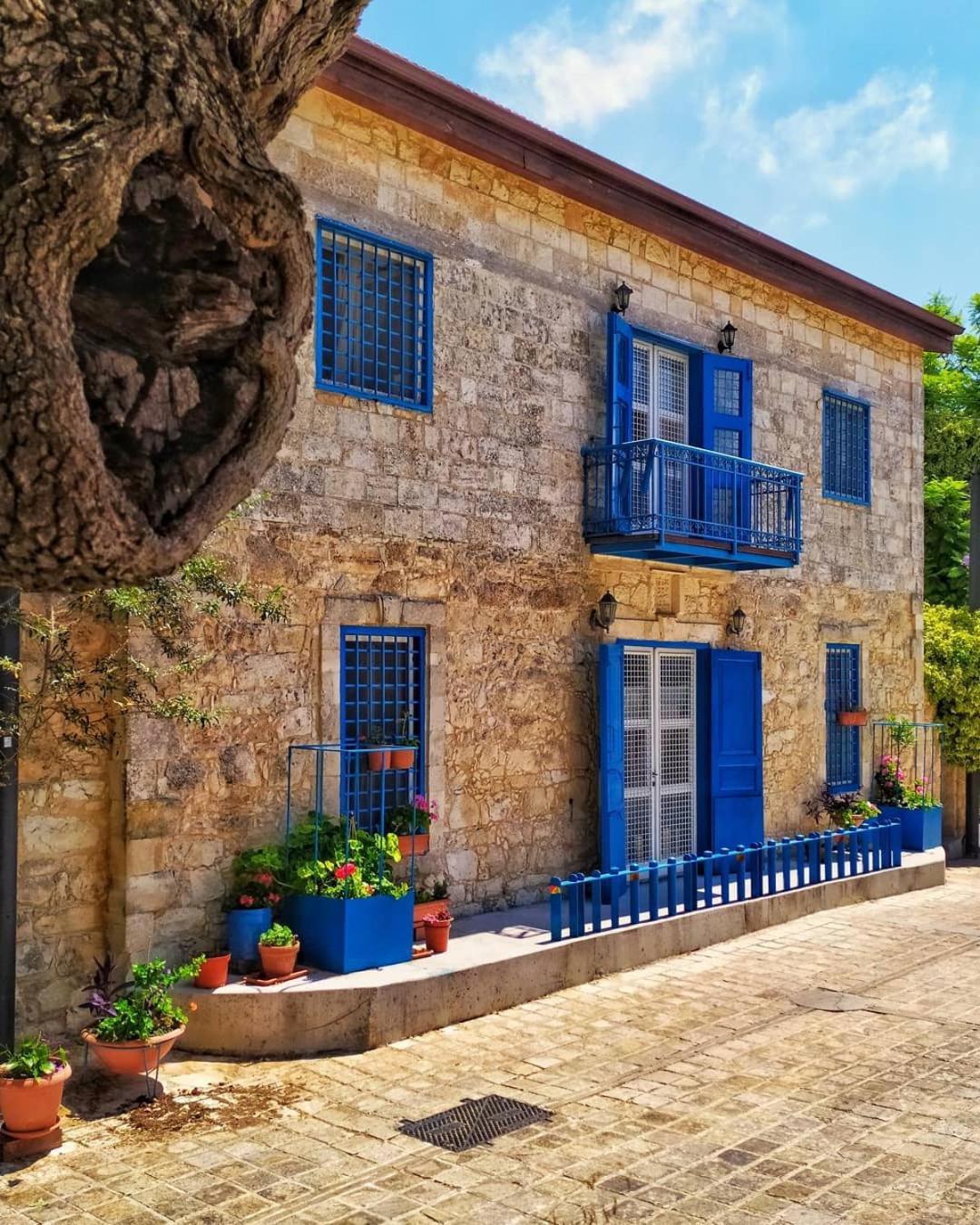Arodes Asteria Volunteer & Youth Eco-hostel