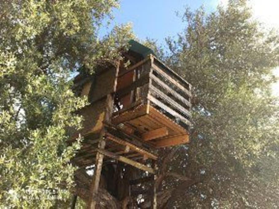 Glamping In The Middle Of Nowhere * Paphos