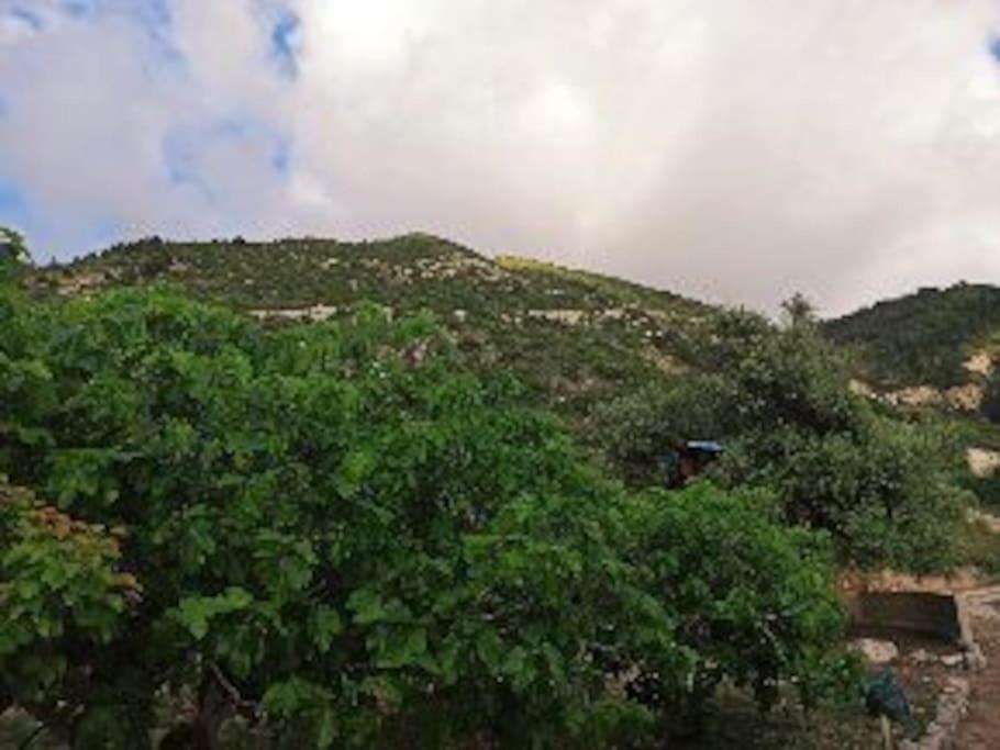 Ferienhaus Glamping In The Middle Of Nowhere *