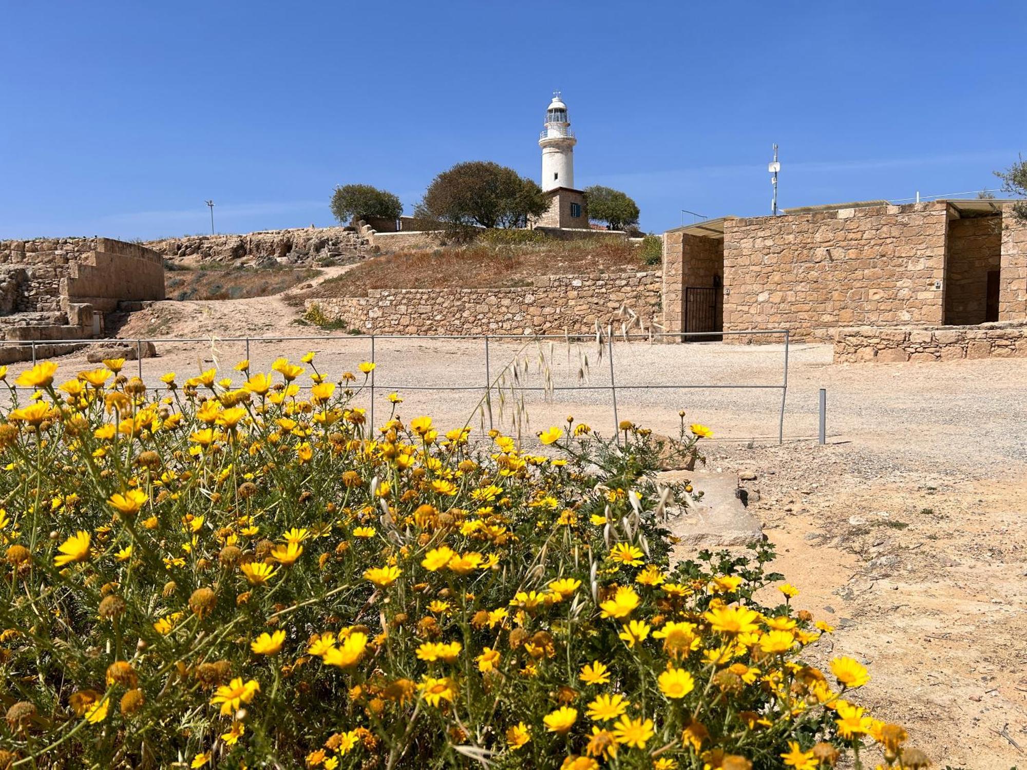 Pafia Modern Paphos