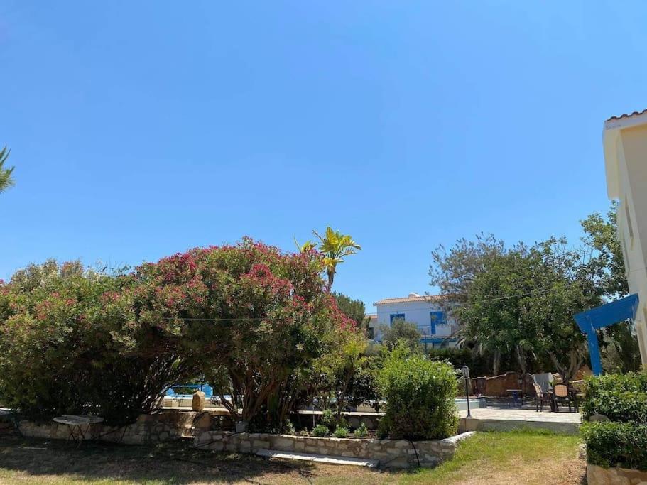 Villa Queen Eyridiki Luxury 1 Paphos