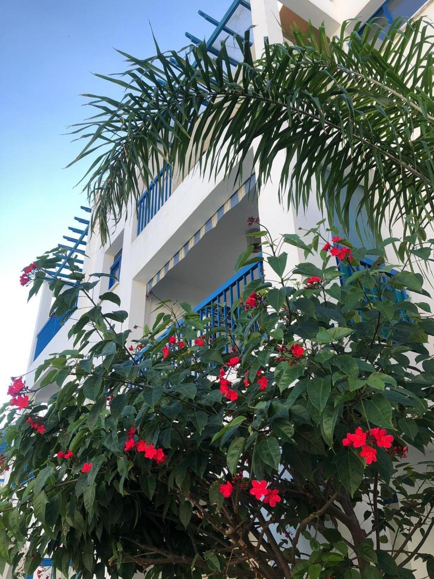 Pool View Paphos