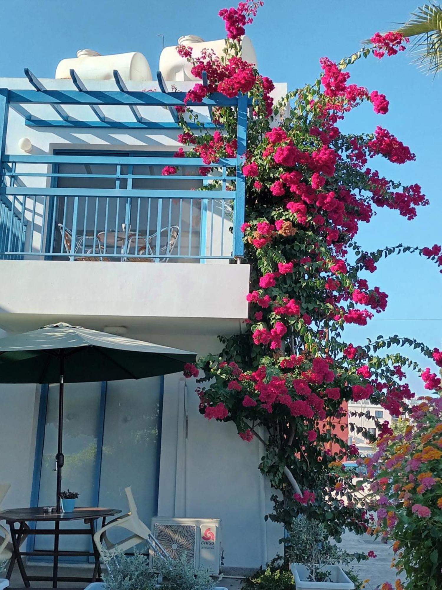 Ocean Blue Paphos