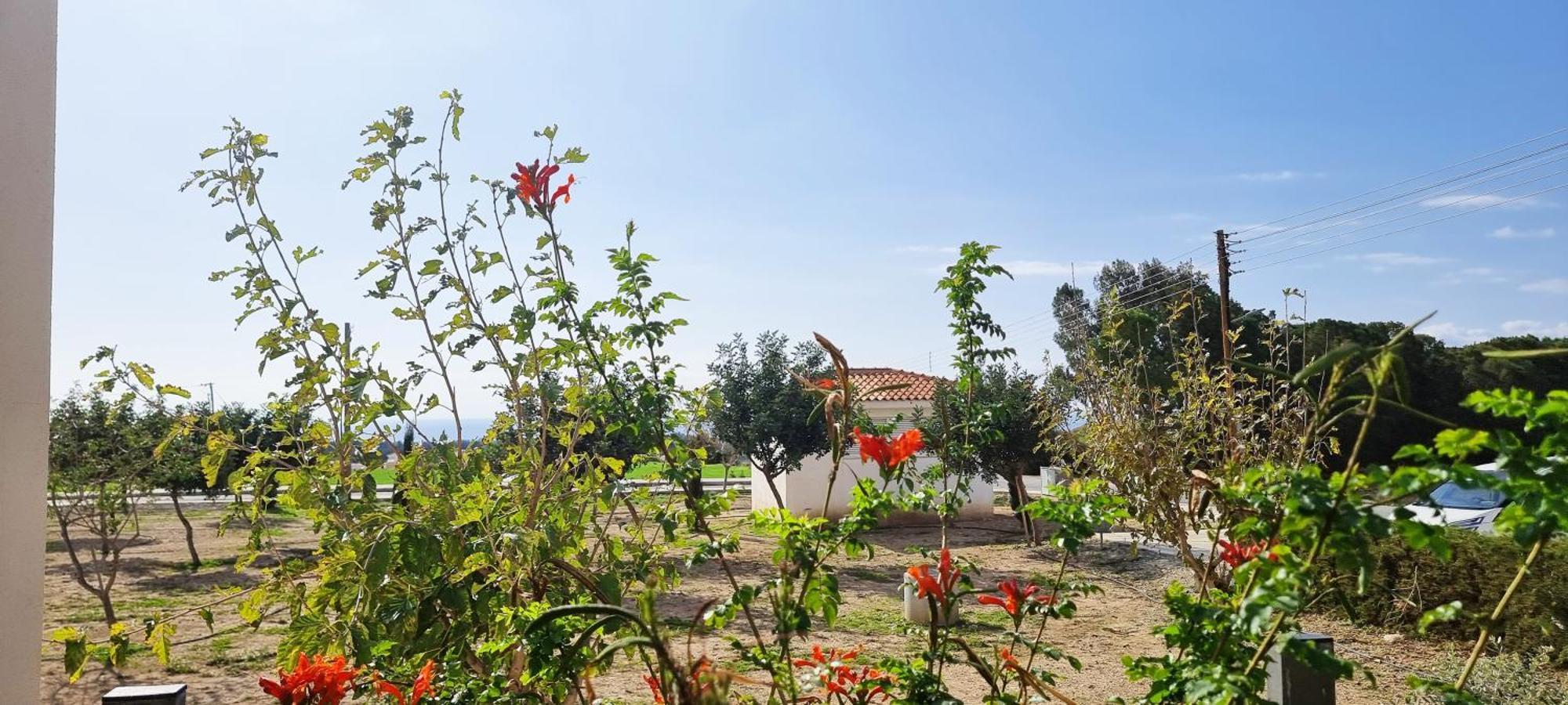 Shanti Villa *