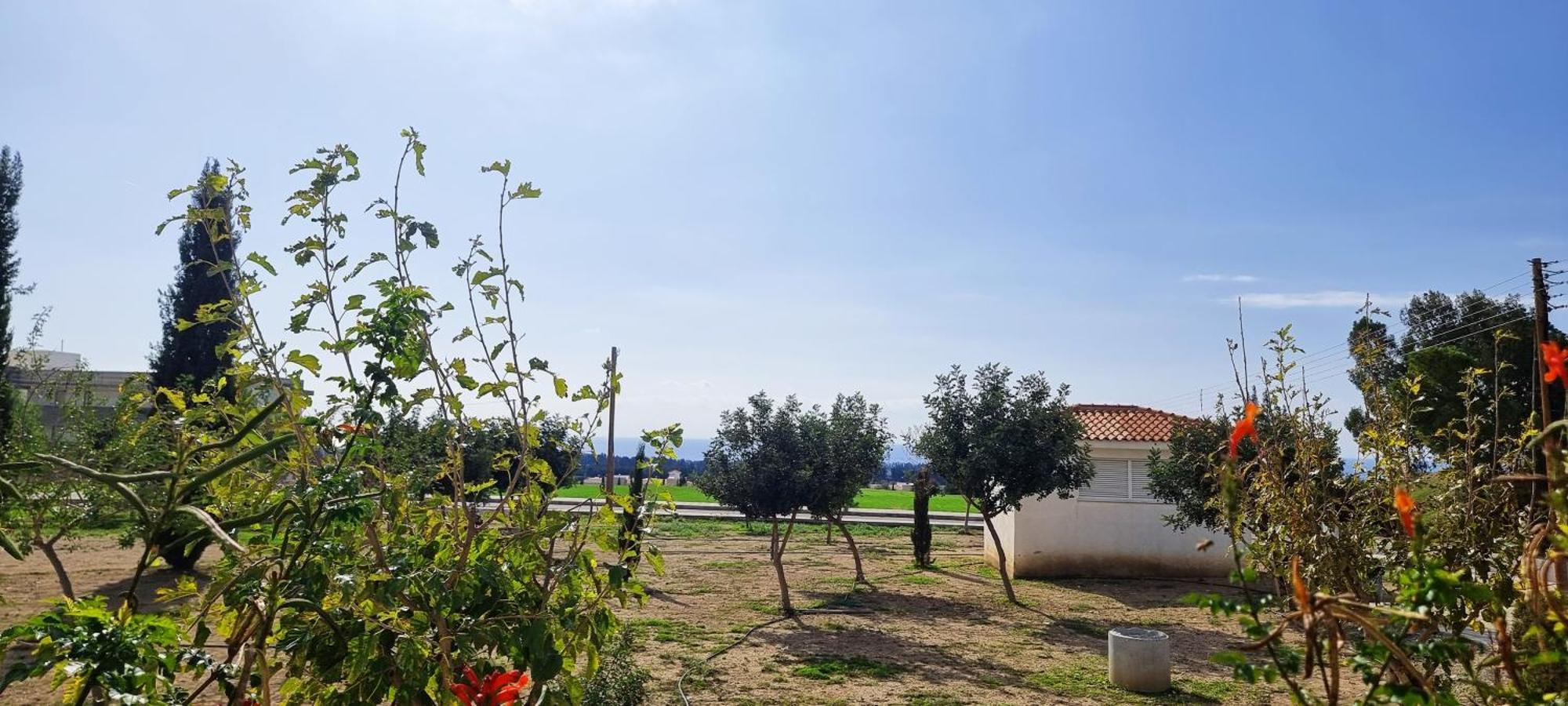 Shanti * Paphos