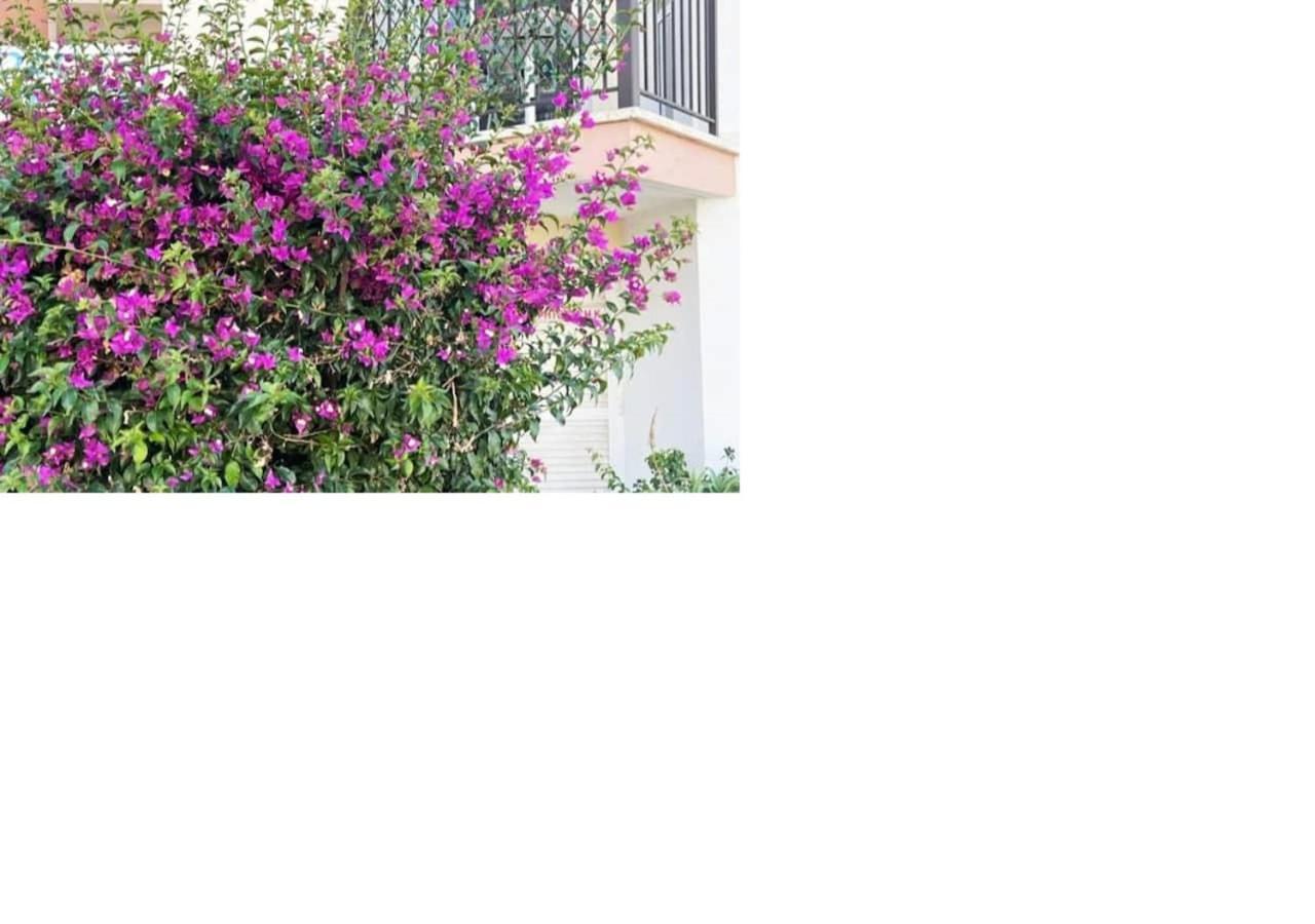 With A Luxurious Location Near The Sea Apartamento Paphos