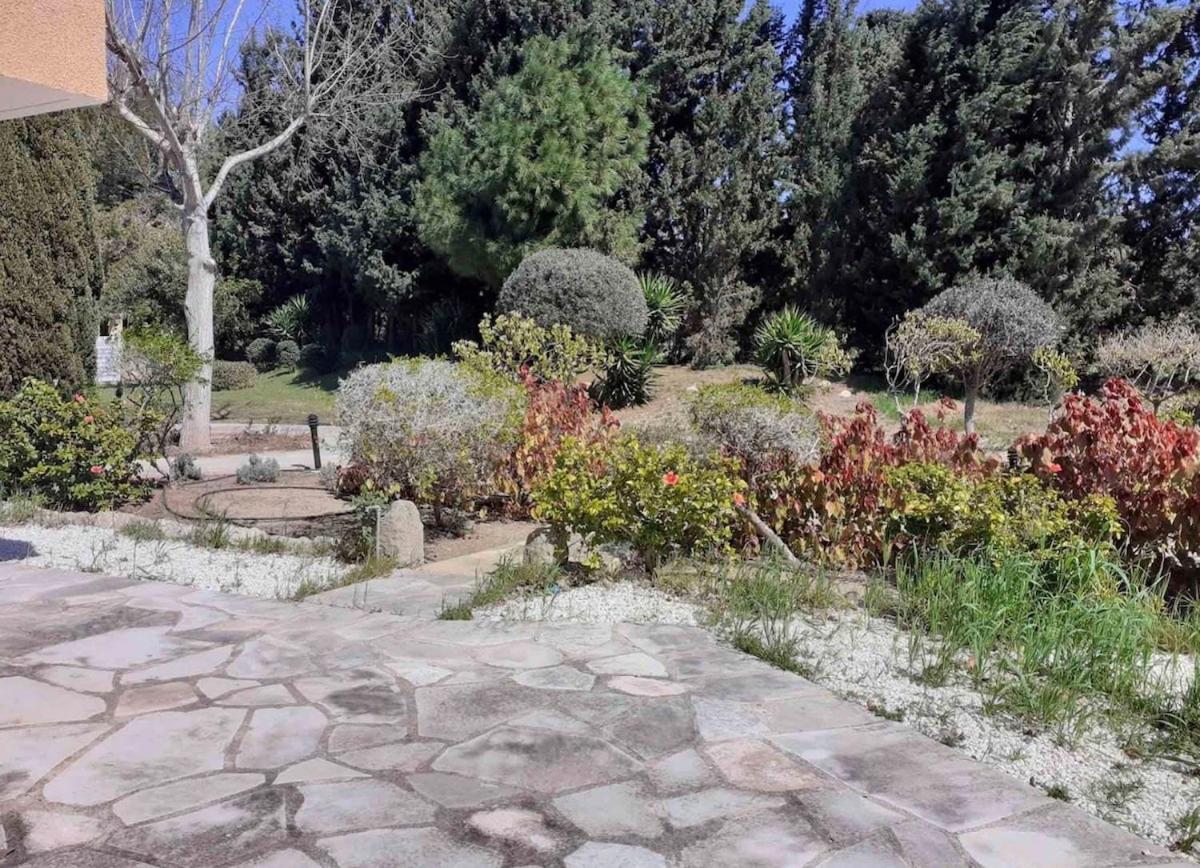 Lovely Renovated For Holiday! Paphos