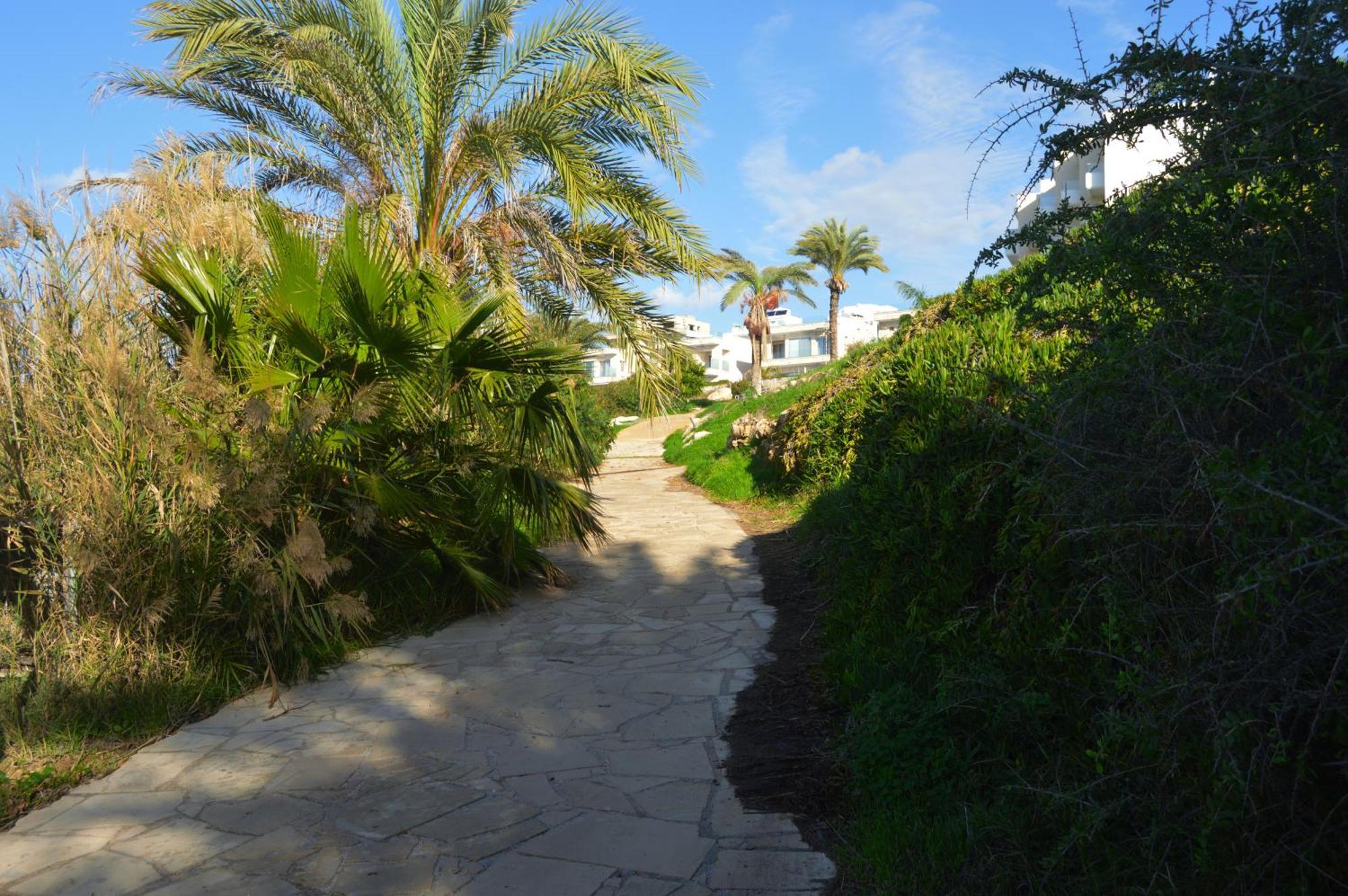 Olymp Luxury D - Luxury Escape With Direct Access And Unique Sunsets *