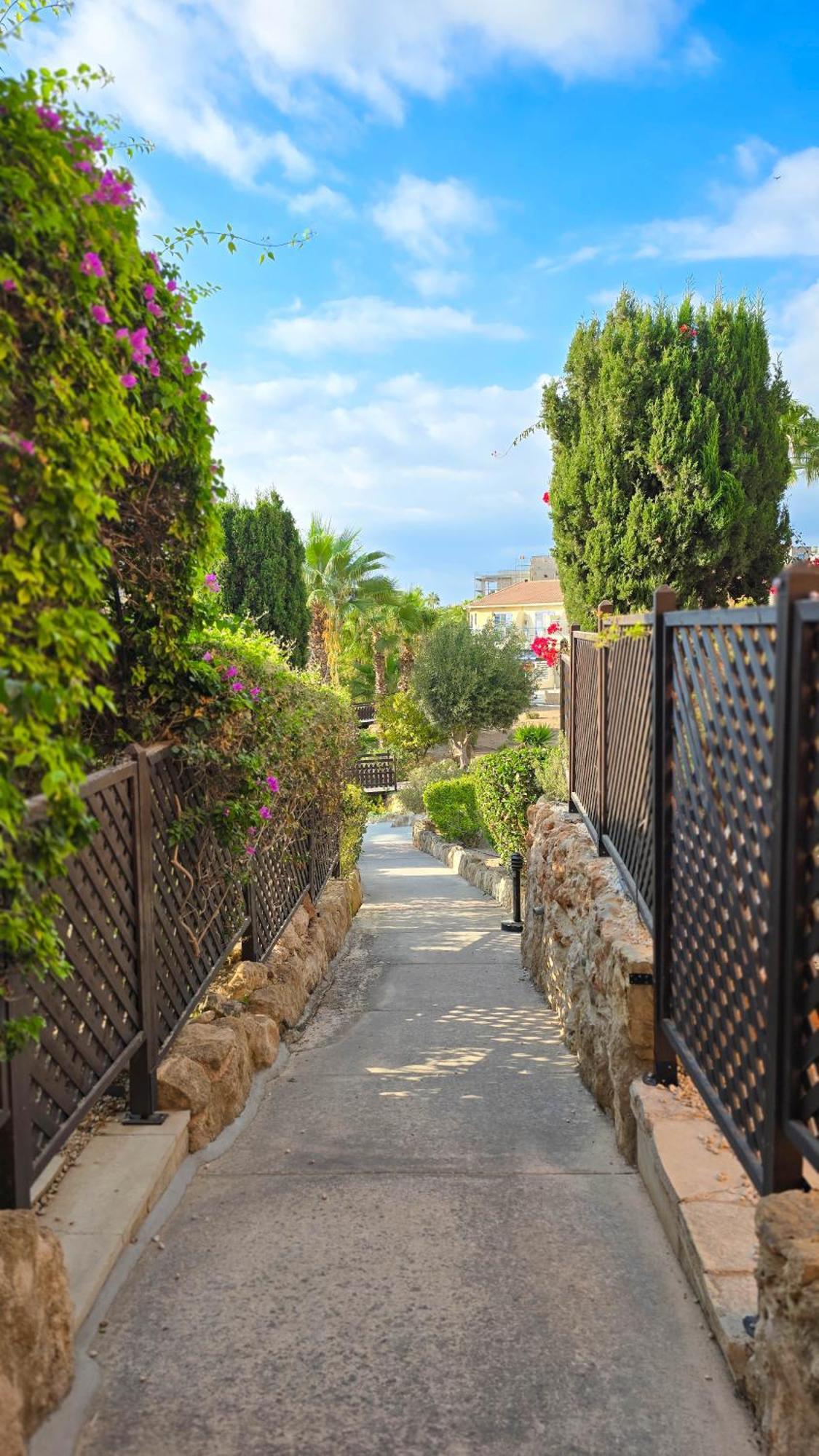 Css Comfy Smart Superior By King's Palace * Paphos