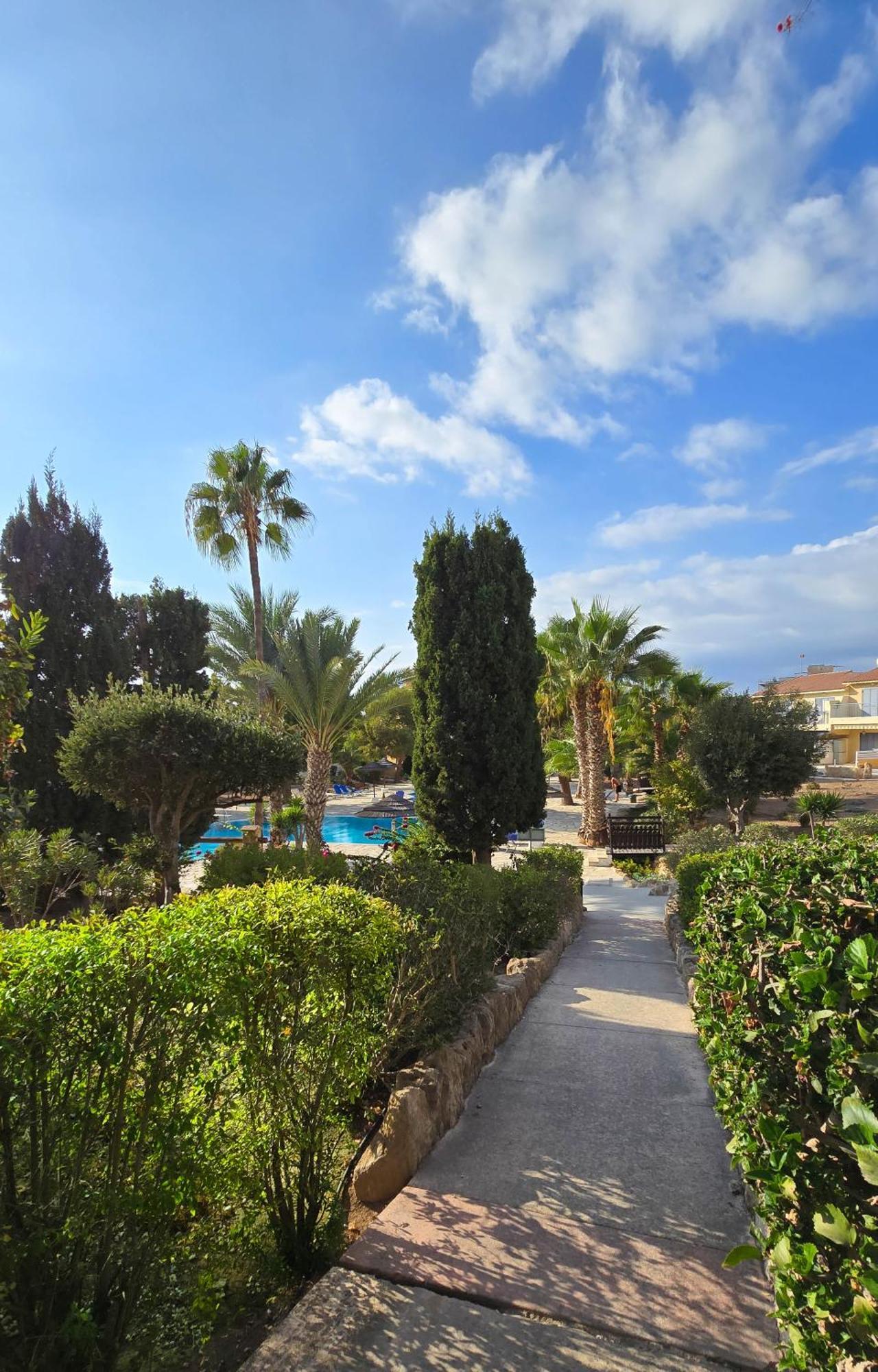 Css Comfy Smart Superior By King's Palace Paphos