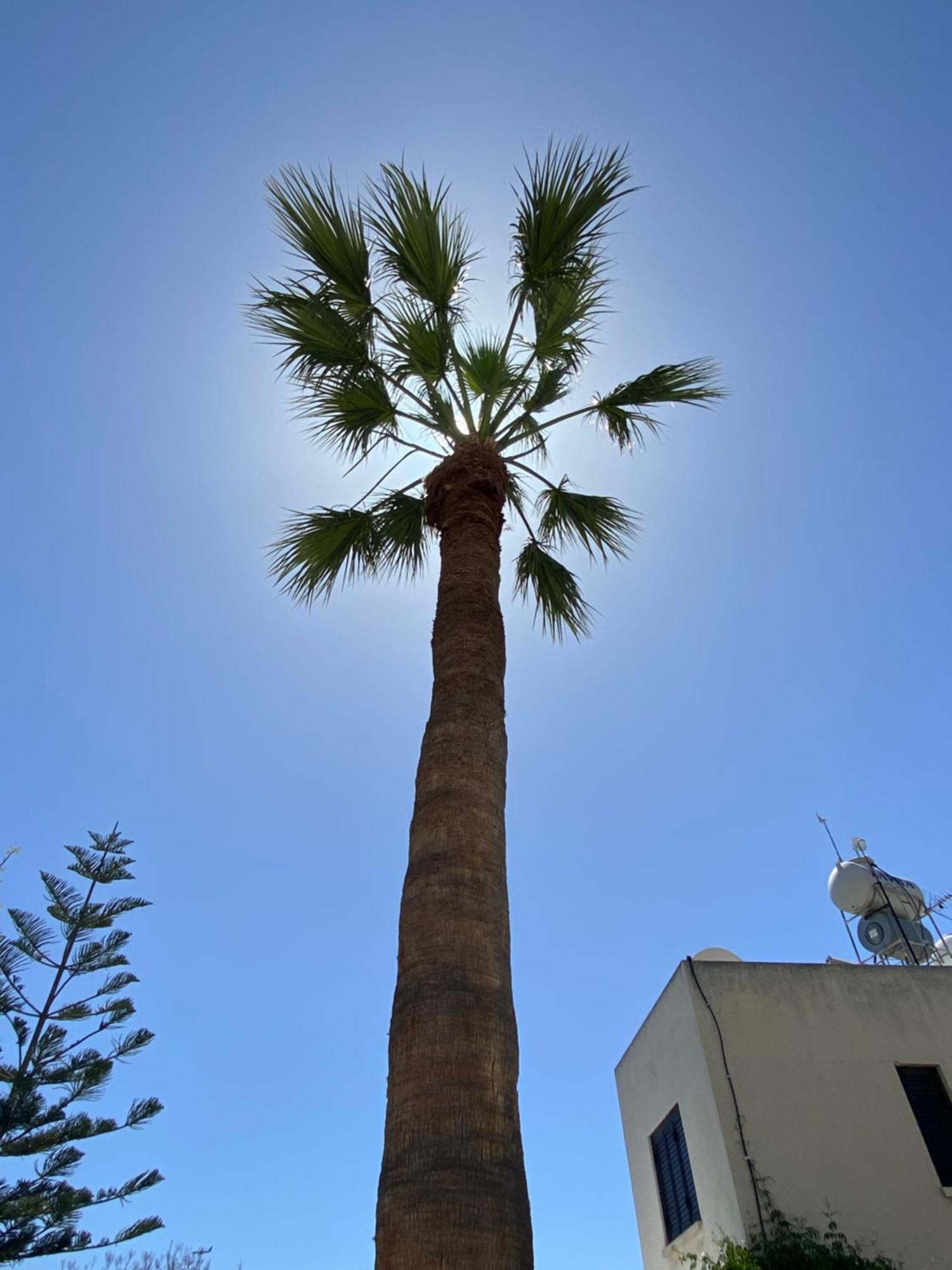 Seaside Luxury Flat In Harbour Tourist Area Paphos