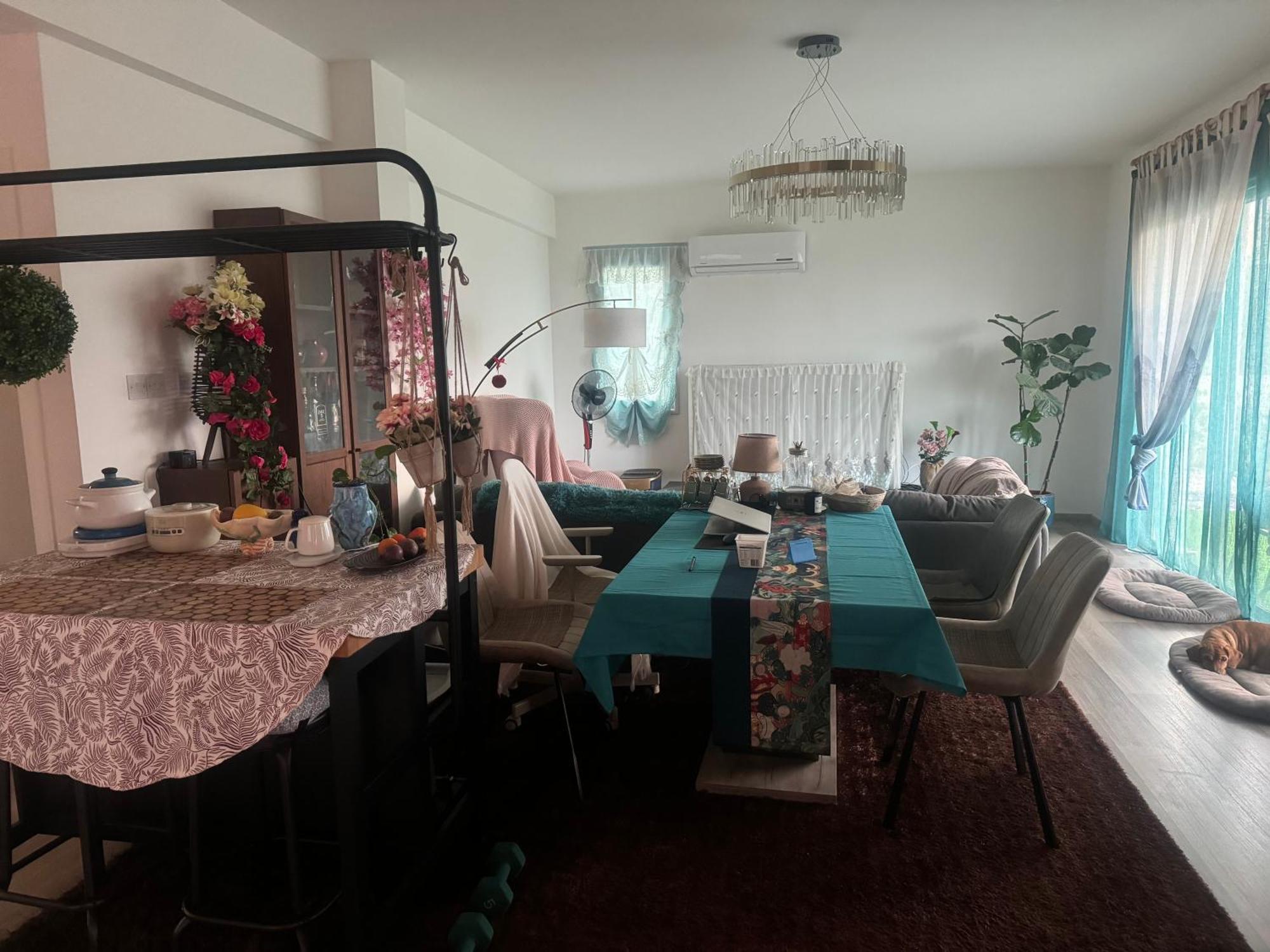 Homestay Sea Flowers Village Paphos