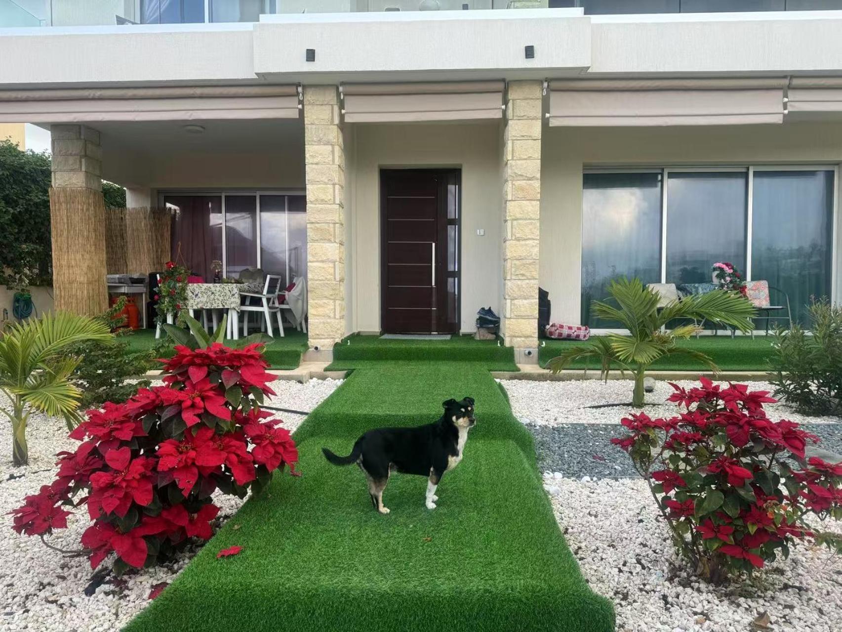 Homestay Sea Flower Village
