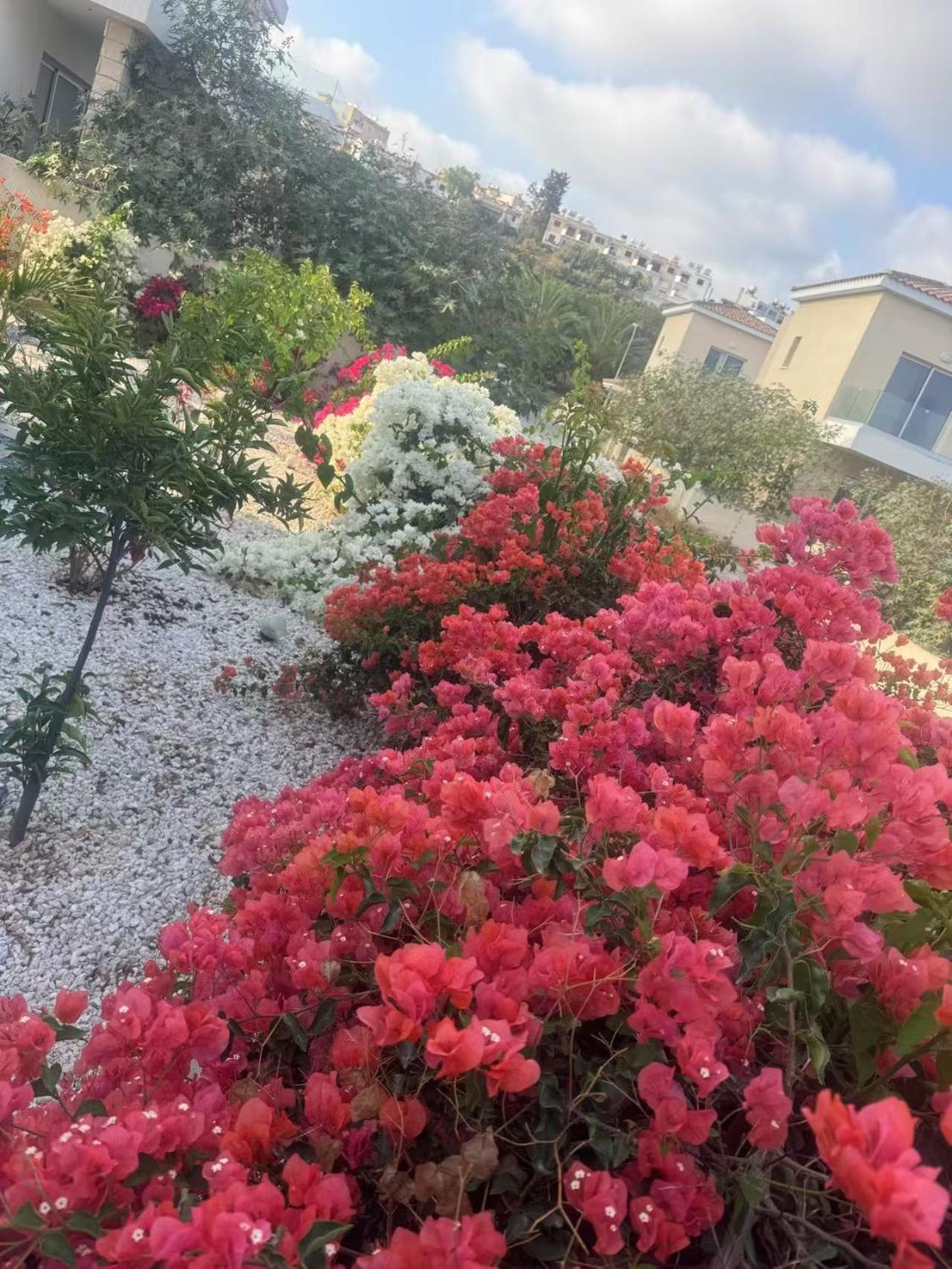 Sea Flower Village *