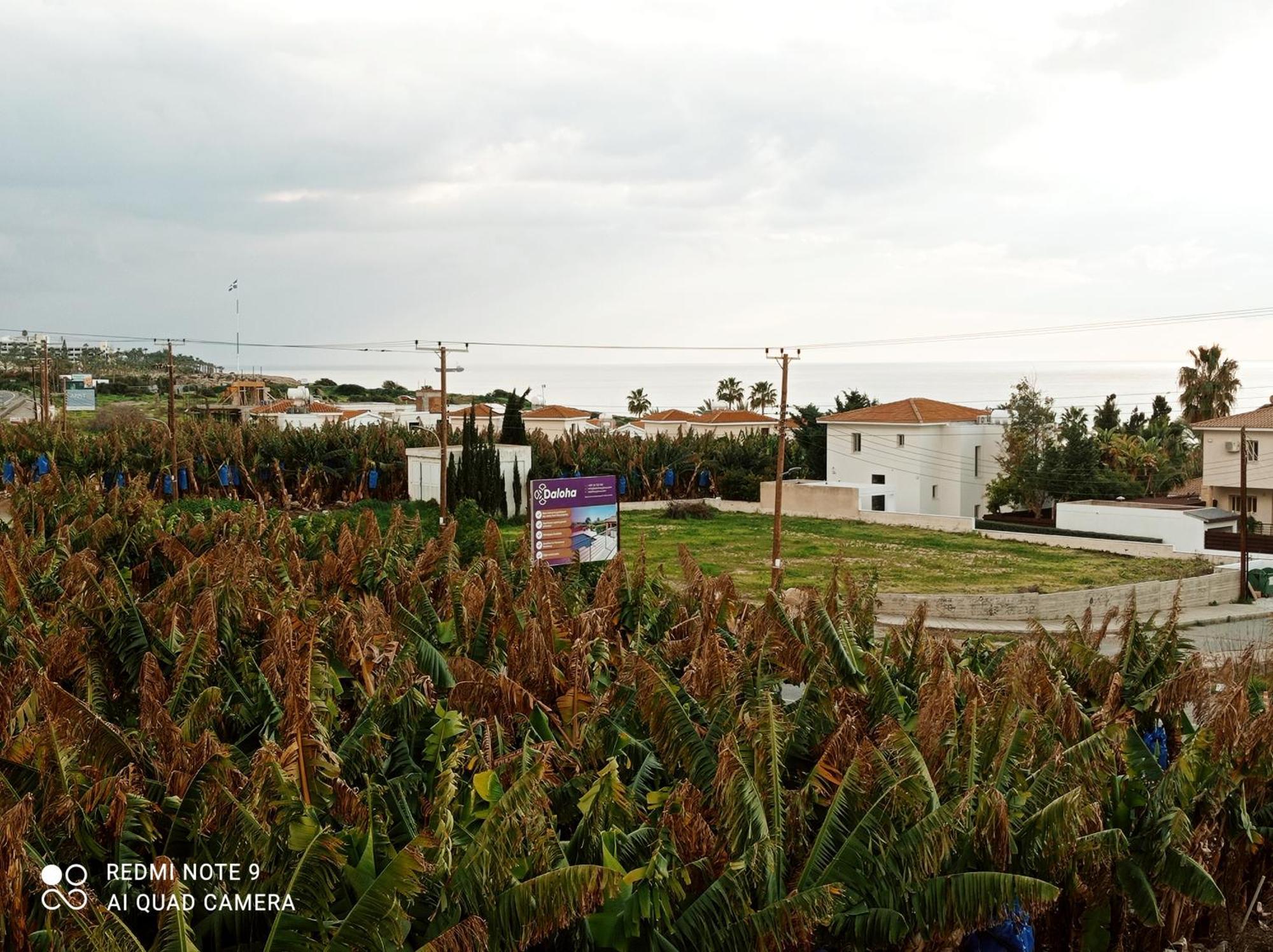 Blue Seaview Appartments