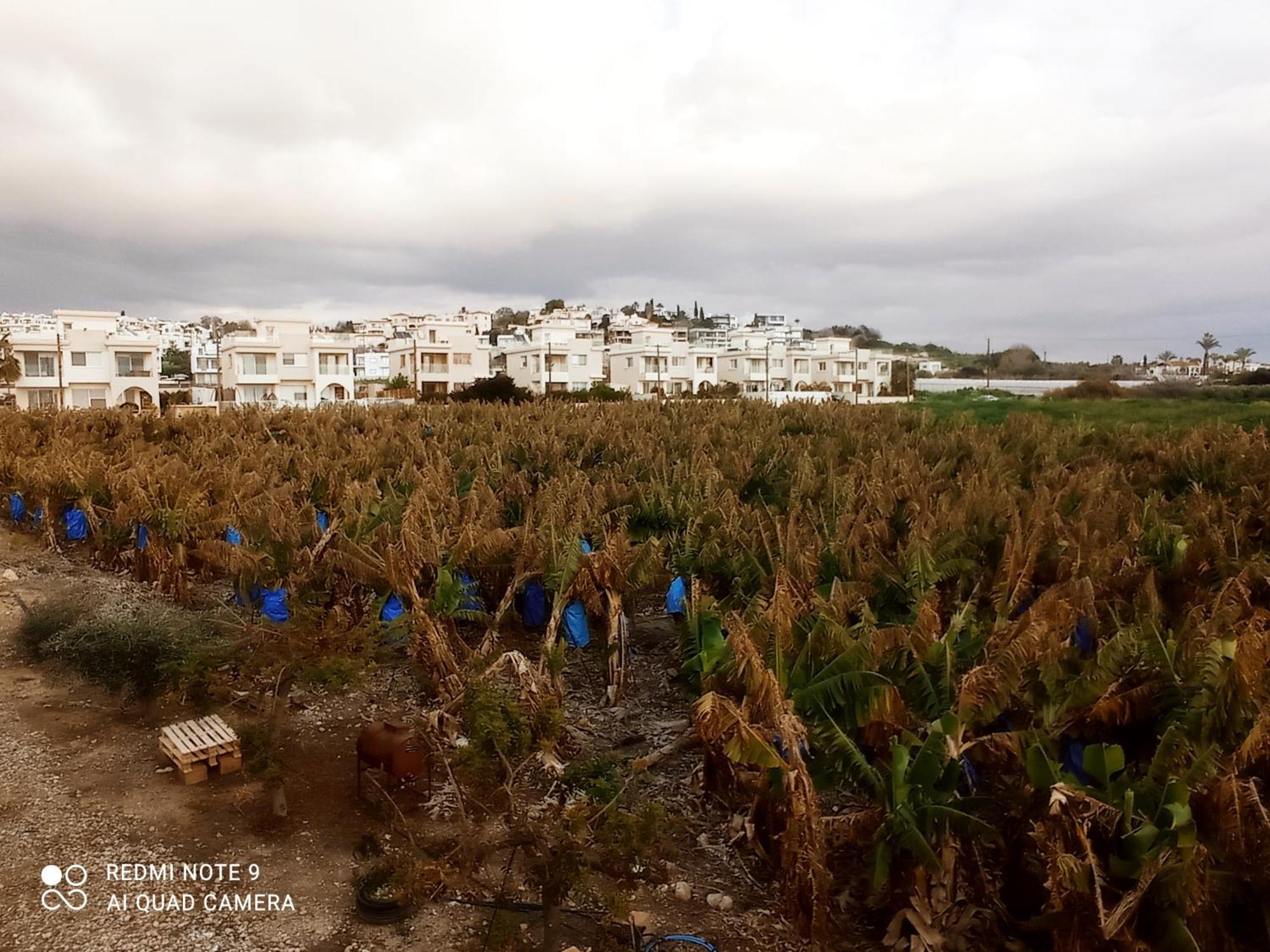 Blue Seaview Appartments Apartamento