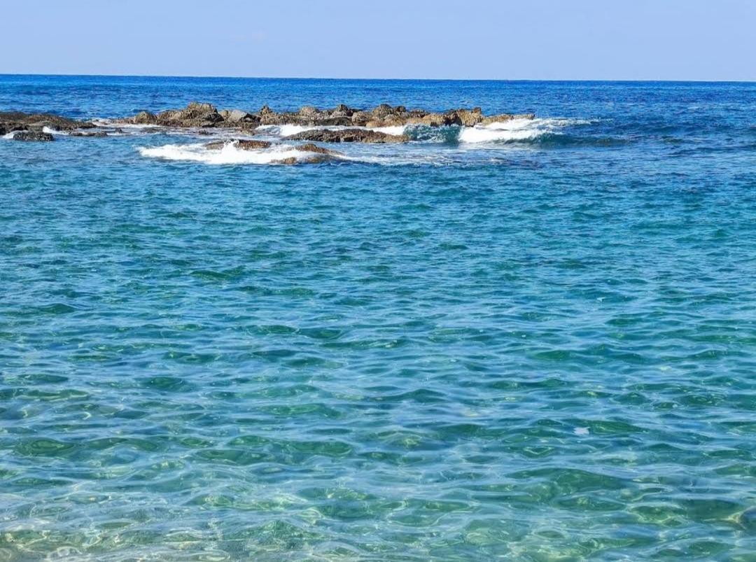 Blue Seaview Appartments Paphos