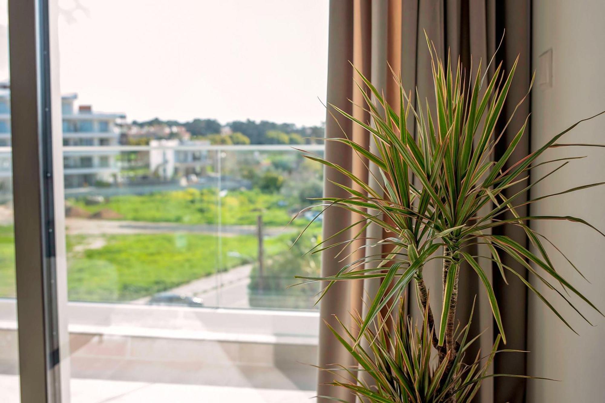 Apartment Blue Oasis Paphos