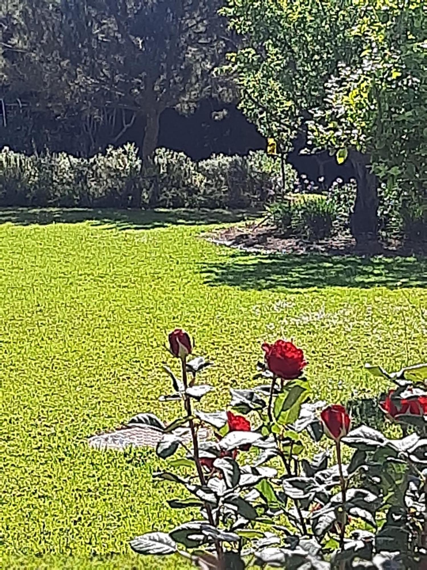 Secret Garden Pousada Paphos